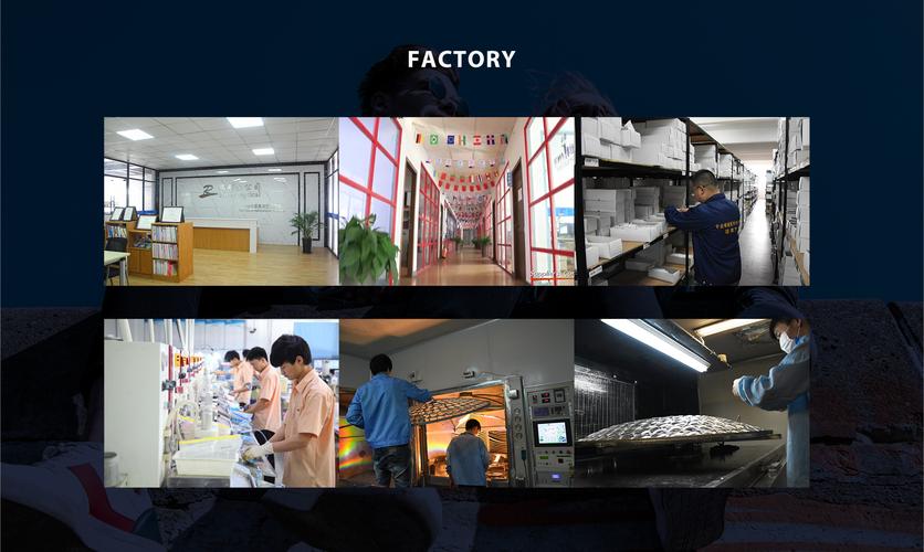 丹阳河贸易有限公司自费出国留学中介服务 连接中国学子与全球教育